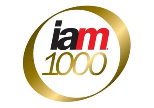IAM 1000